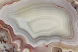 Polished Laguna Agate Slice - Mexico #198082-1